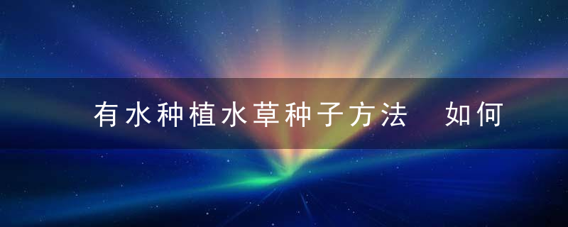 有水种植水草种子方法 如何种植水草种子